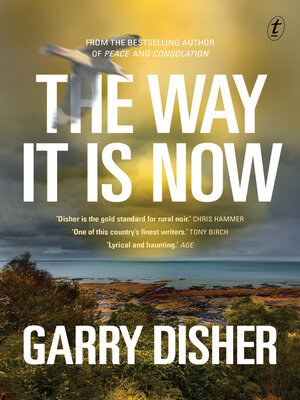 The Way It Is Now - ebook